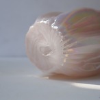 ピンクオーロラの花瓶