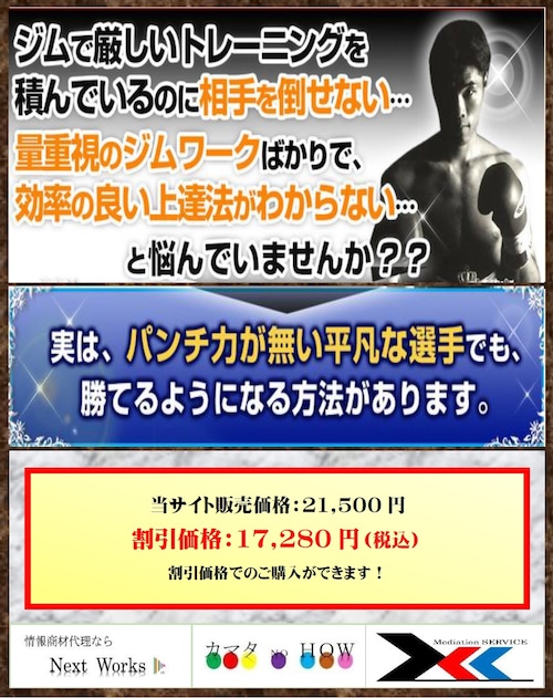 ボクシング上達プログラム～テクニックで相手を倒す理論的練習法～【OPBF東洋太平洋スーパーフェザー級王座　三谷大和　監修】DVD2枚組