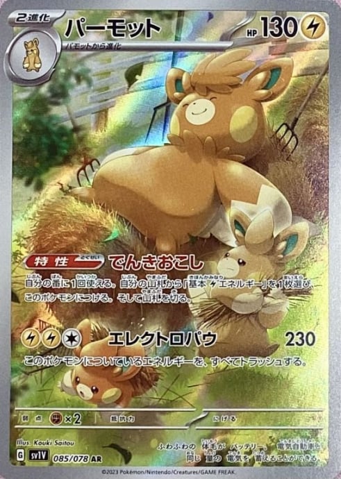 【美品】パーモット(AR)