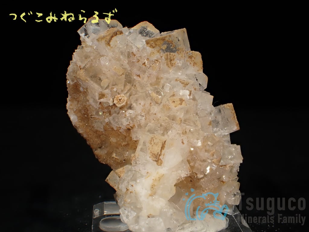 フローライト 蛍石 Fluorite イギリス TM-0004