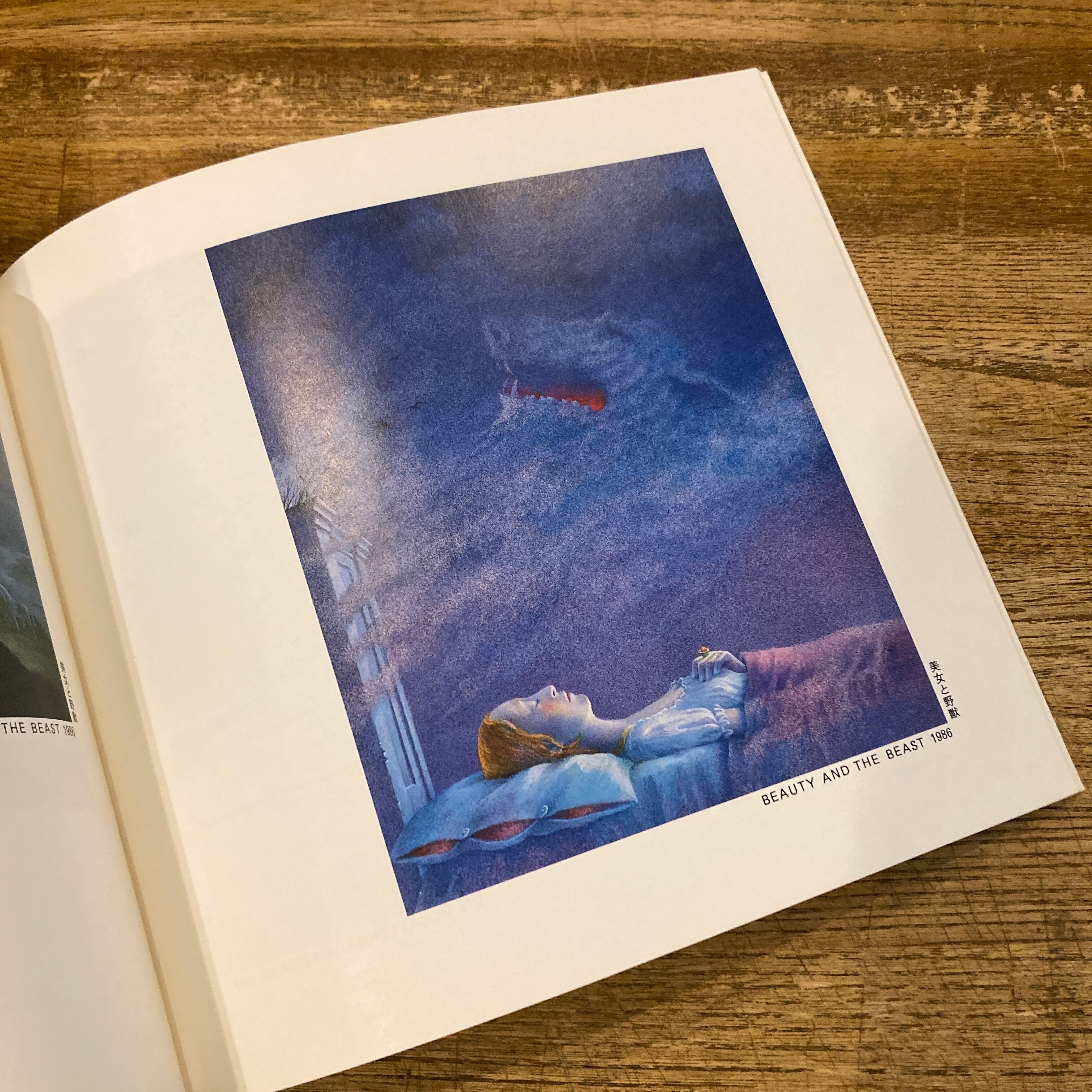 ビネッテ・シュレーダー 絵本原画展 1988・1989 / 青木久子 編 | 百年