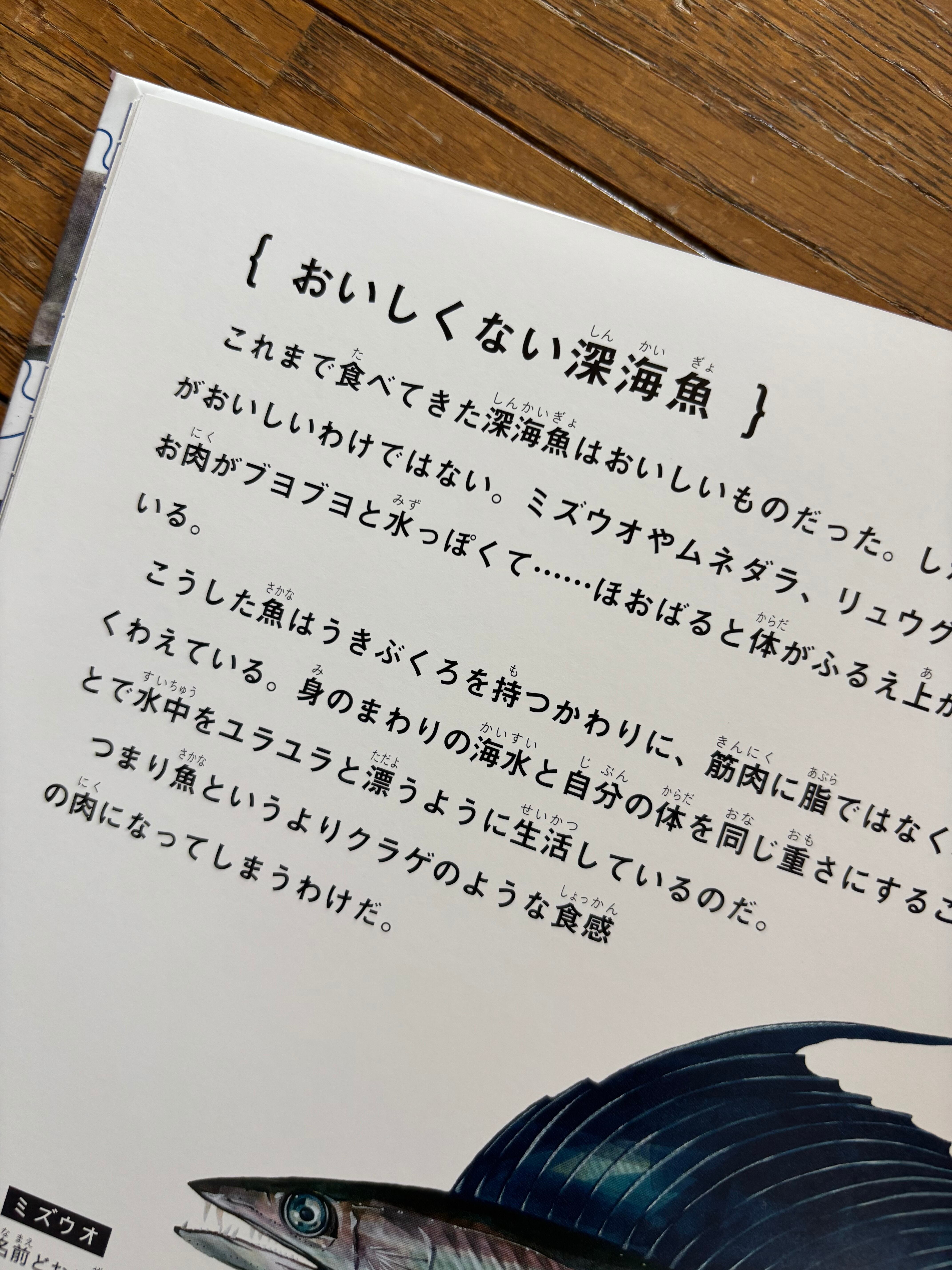 釣って 食べて 調べる 深海魚 | ほんのみせ マドカラ