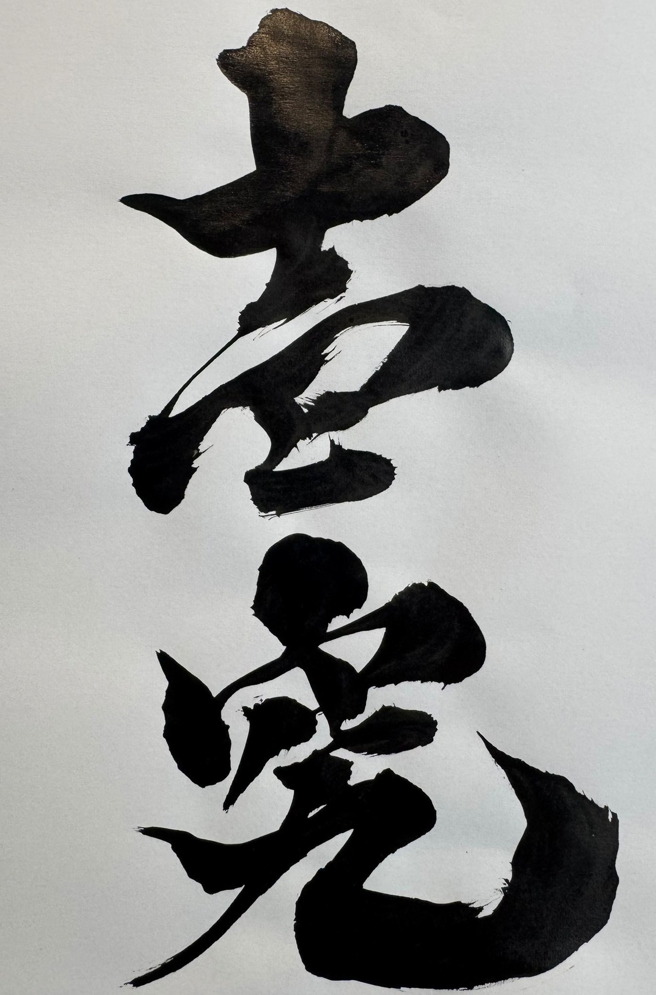 【壱究】オオヒラタケ 1400cc