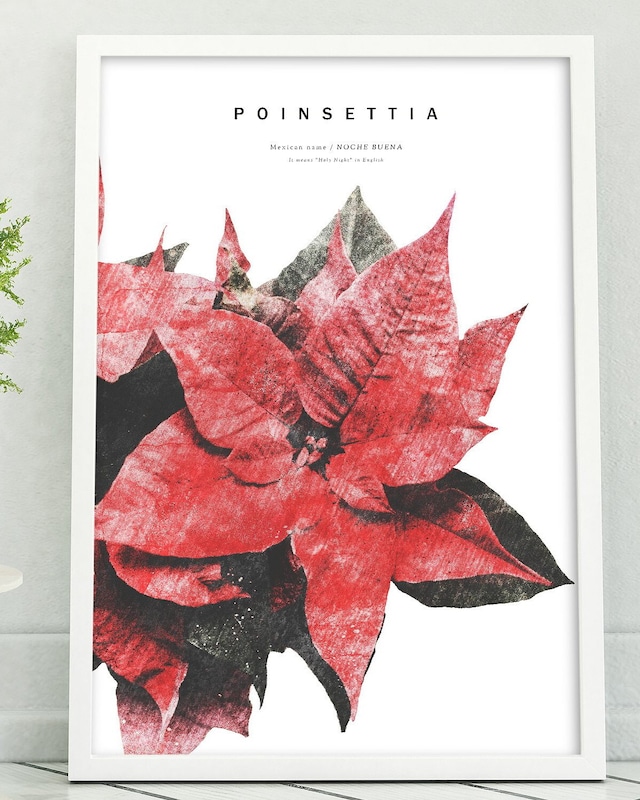 アートポスター / Poinsettia　eb064