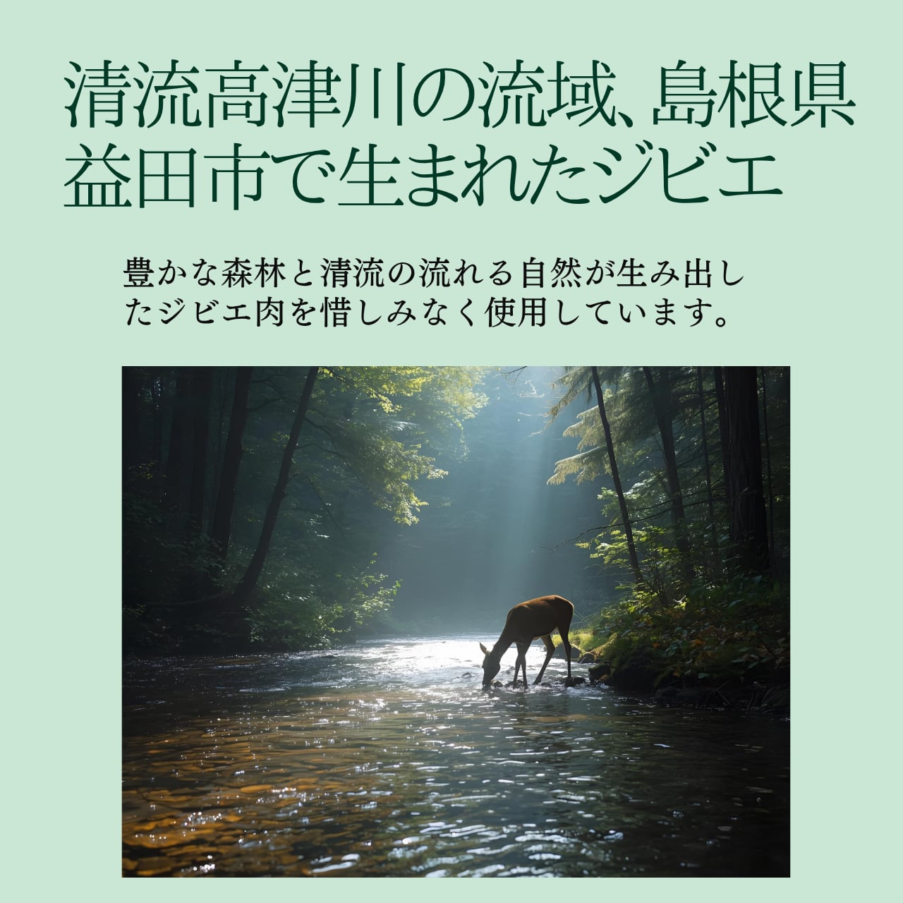 猪馳(ちょち)猪肉ジャーキー 15g×2袋 ジビエジャーキー くいしんぼペットさまのジビエフード