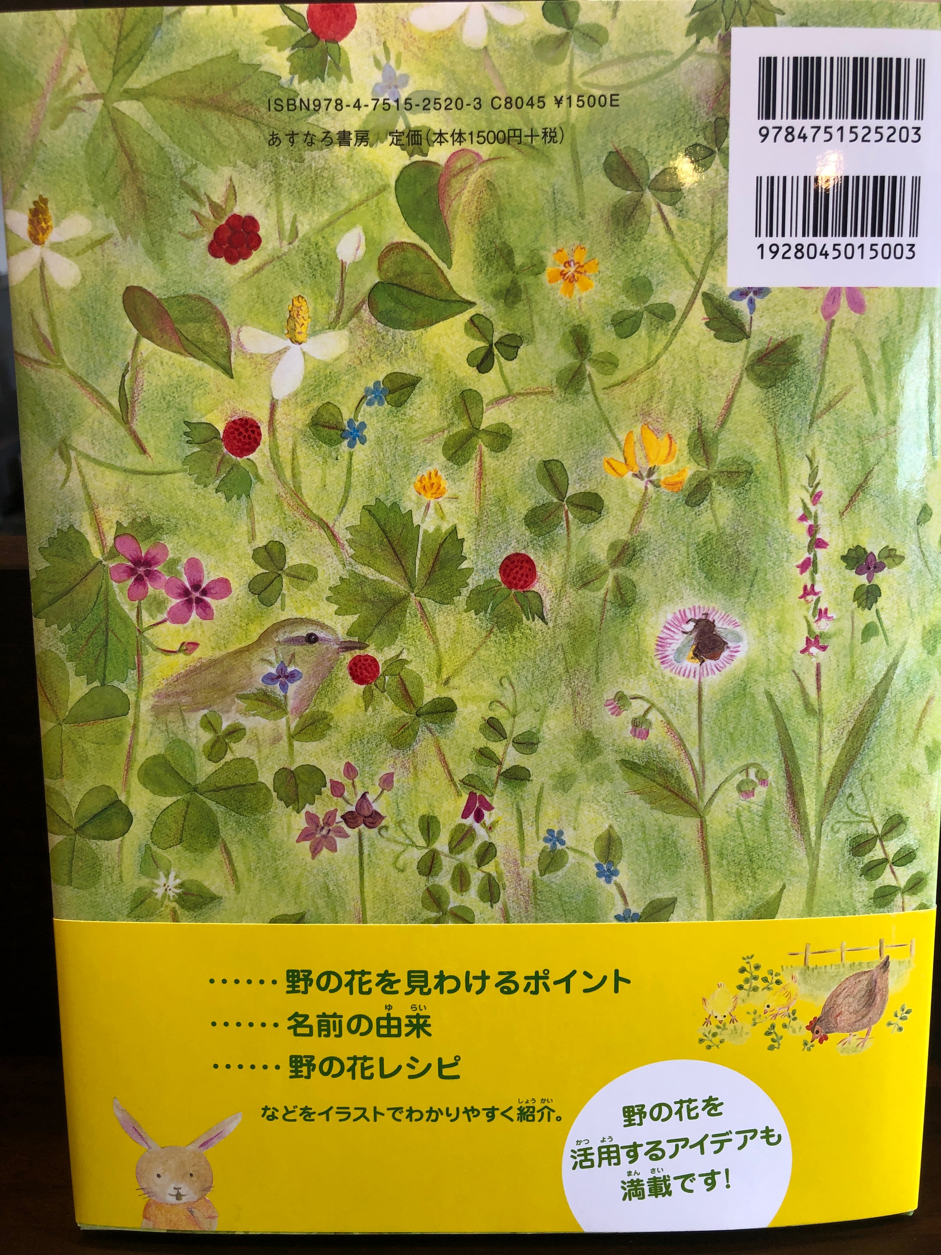 野の花えほん 春と夏の花 前田まゆみ 新刊 おいもとほん Talking Book トーキング ブック