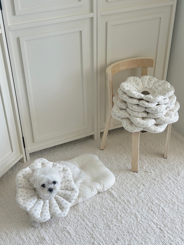 〈即納アイテム〉EYOU  ネックカラー / ピアナネックカラー(ミルクフラワー)S、Mサイズ