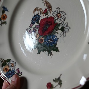 SARREGUEMINES  Plate / サルグミンヌ プレート【A】〈 フランス食器・皿・花リム・フランスアンティーク・アンティークプレート・ブロカント・ヴィンテージ 〉113920