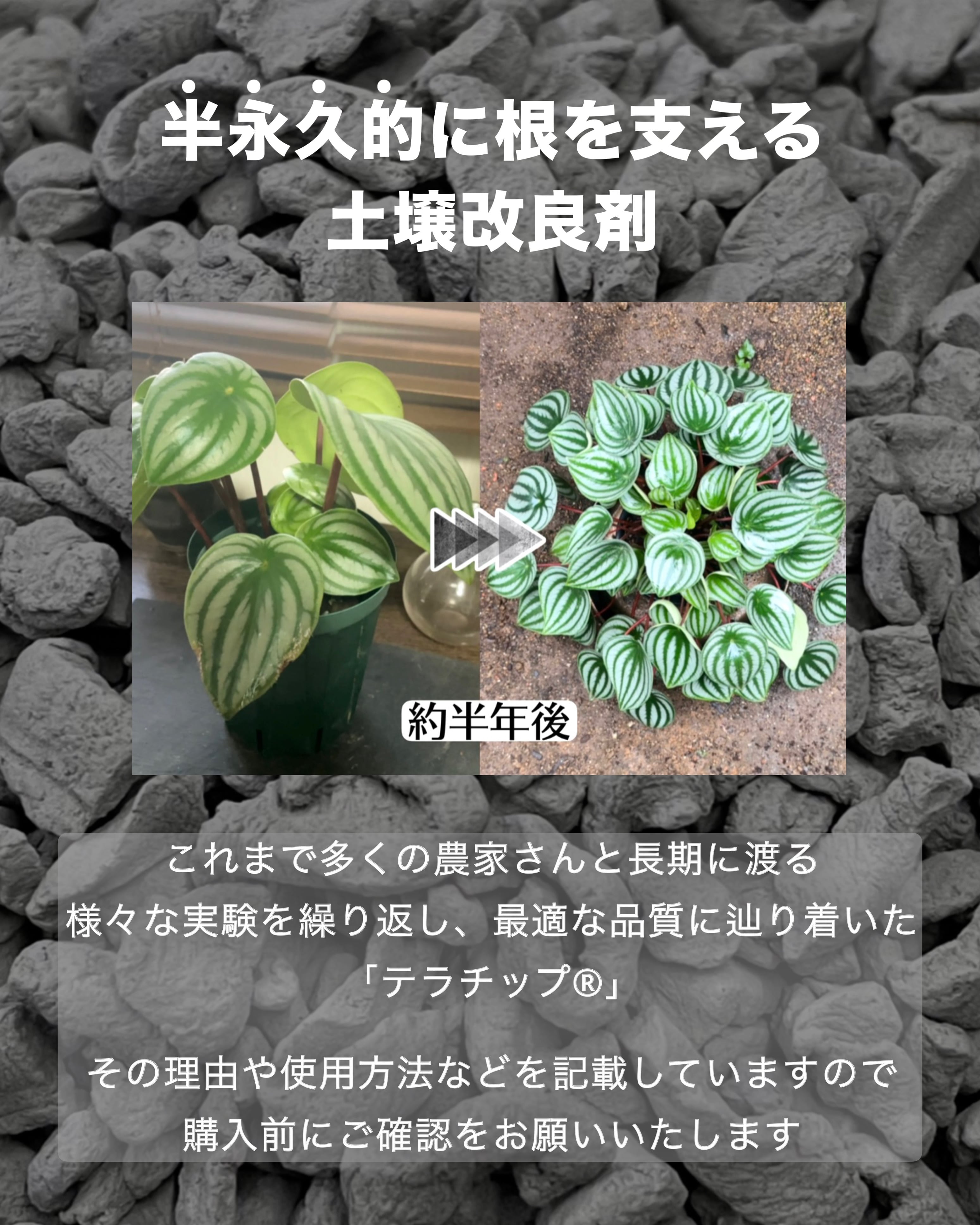 値下げしました！テラチップ　新品未使用　2個セット 赤焼2L 【テラチップ®︎】 | PAY ID