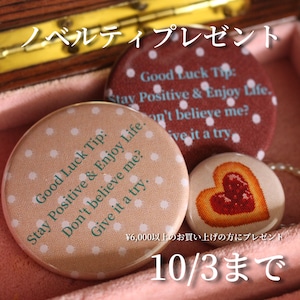 【限定】ノベルティプレゼント