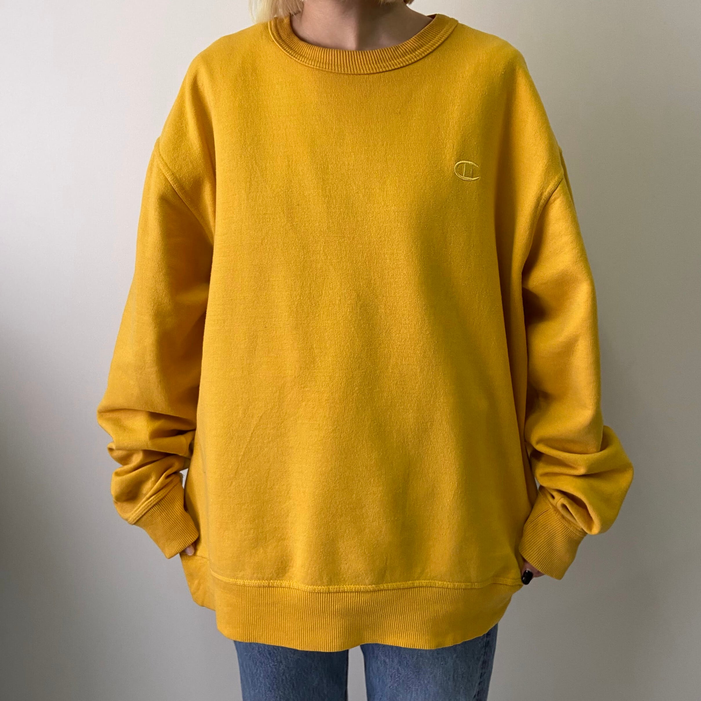 ビッグサイズ Champion チャンピオン 刺繍ロゴ ワンポイント