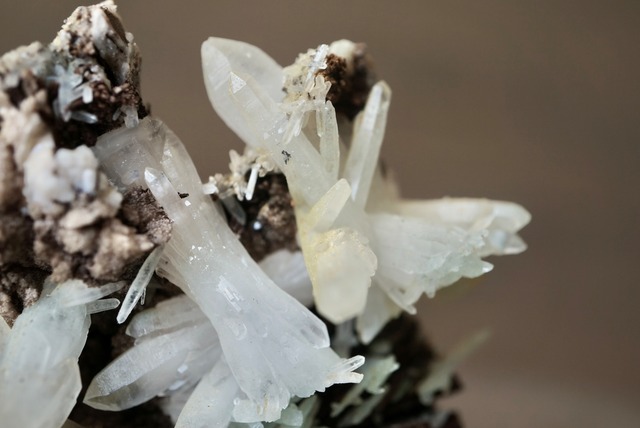 クォーツ/ロードクロサイト/クローライト/ドロマイト Quartz/Rhodochrosite/Chlorite/Dolomite 1324