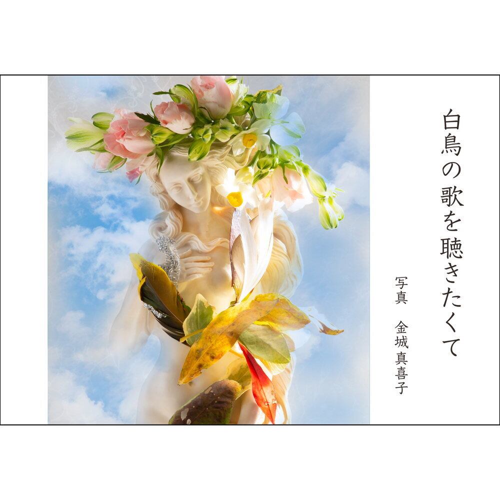 白鳥の歌を聴きたくて ／ 金城真喜子 | Arquet