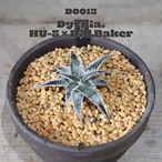 【送料無料】HU5×Bill Baker〔ディッキア〕現品発送D0013