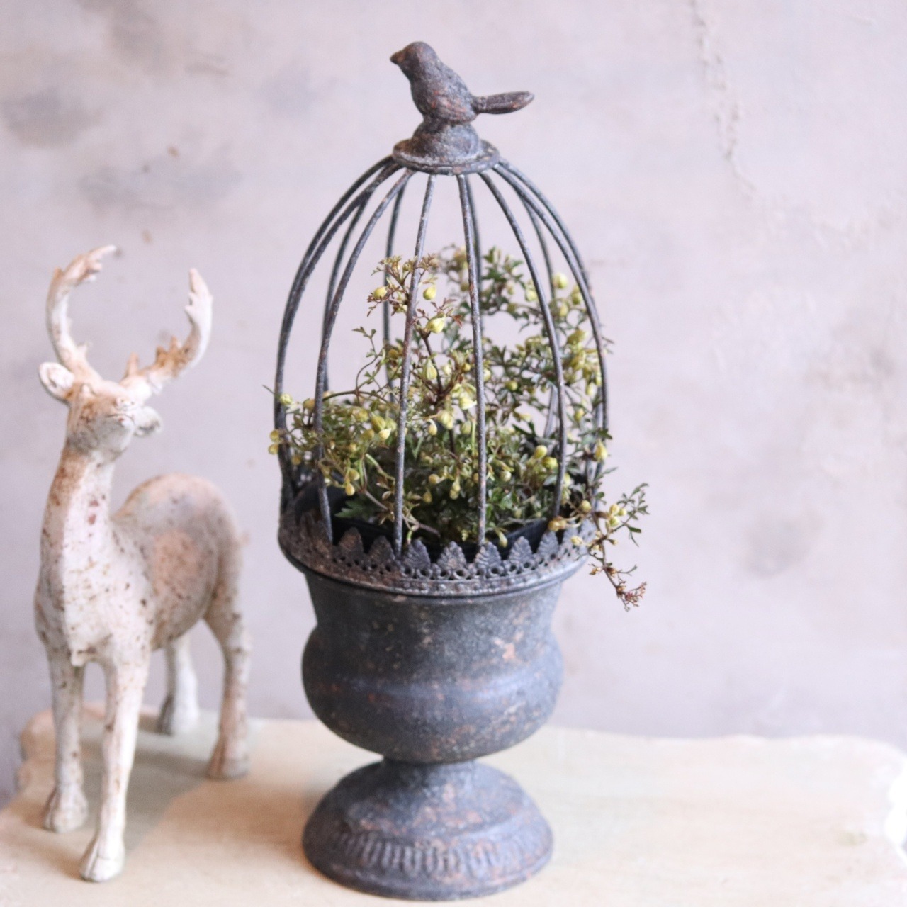 mondimanche ブリキ植木鉢　カージカップポットSDY　UF653|1~2ポット植え込みのシャビーシックな鉢　お玄関がオシャレに変わります