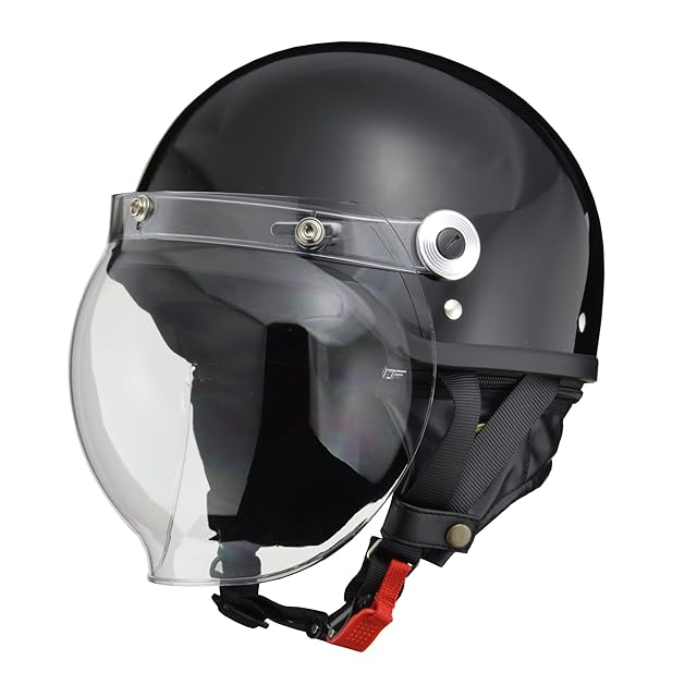 カスタムペイント ハーフヘルメット LEAD DALE リード工業(LEAD) バイクヘルメット ハーフ DALE デイル マット