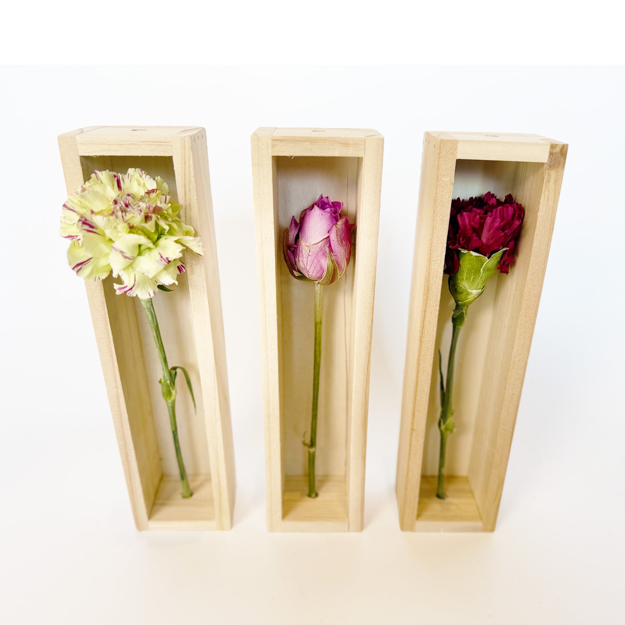 植物標本「花いちりん」S ゼロフラワーフリーズドライフラワー