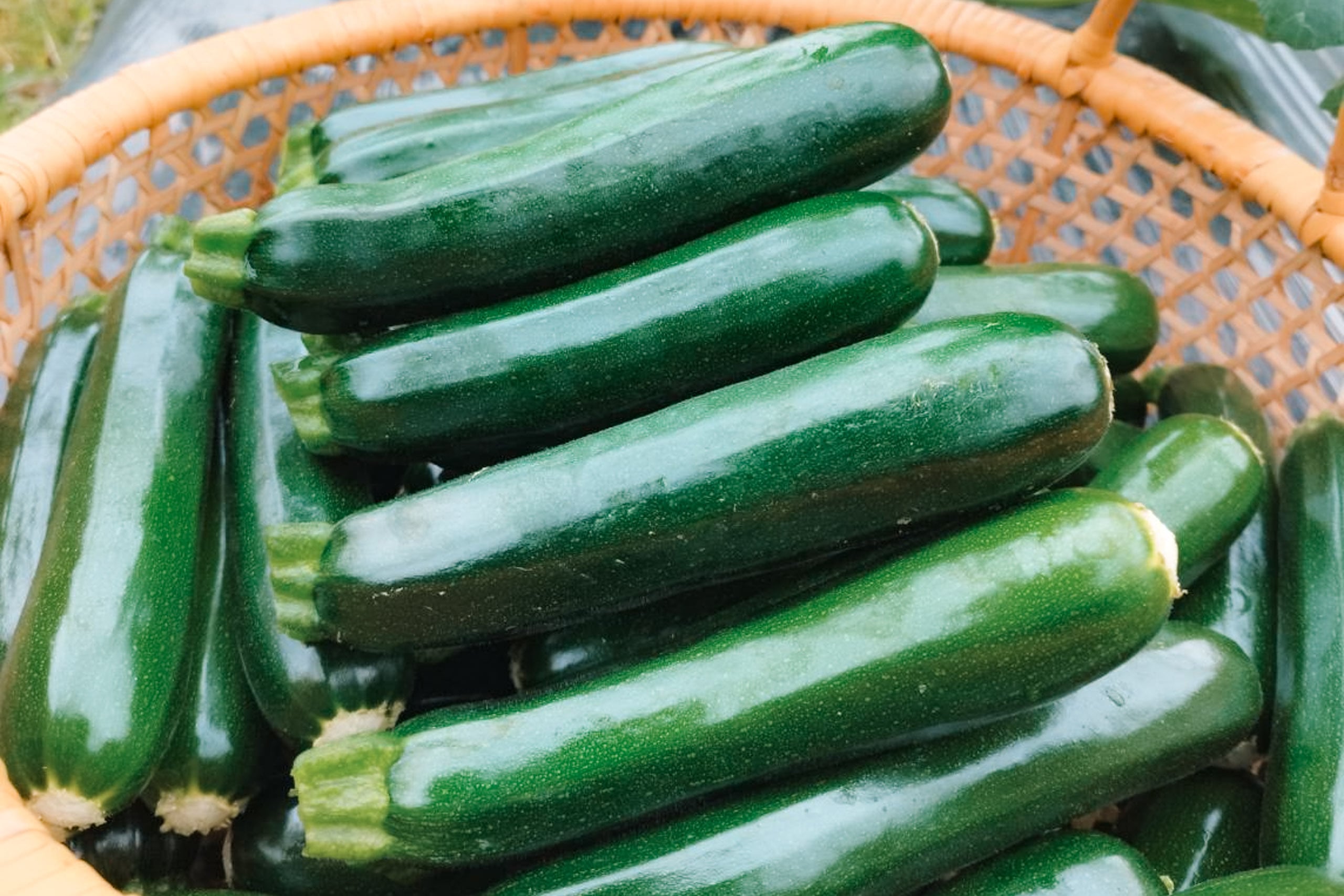 【予約販売】京都産 ズッキーニ 1kg|農薬・化学肥料・除草剤不使用|産地直送