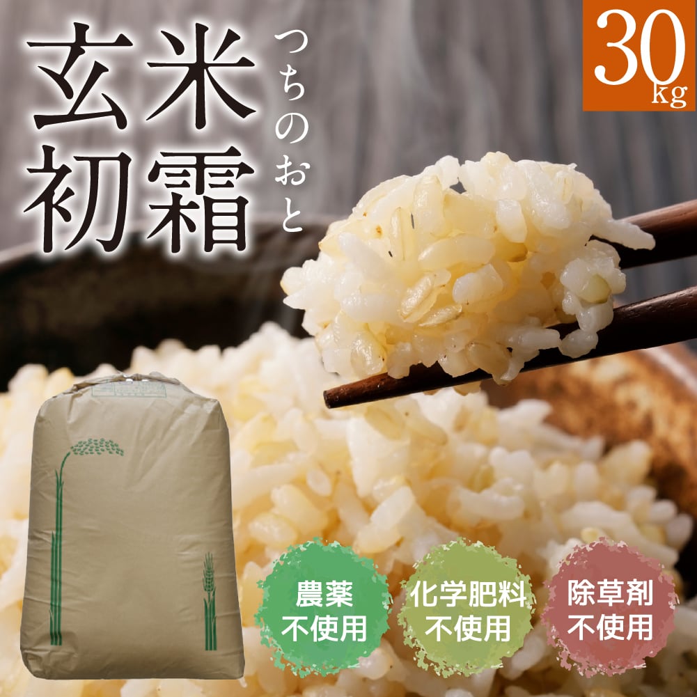 滋賀県産 無農薬100%有機肥料 コシヒカリ玄米 10kg