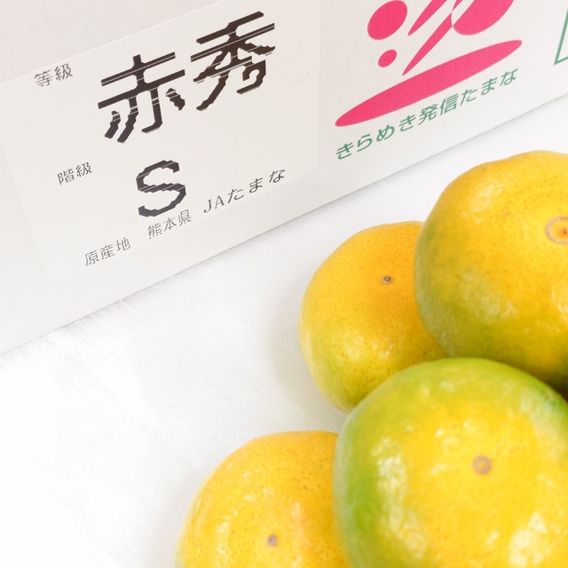 【熊本県産 極早生みかん】Sサイズ/1箱5㎏（約70個入り）　※包装・お熨斗無料
