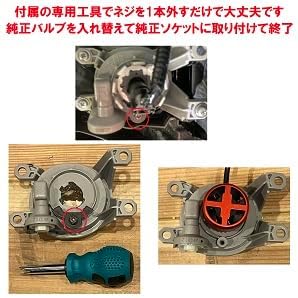 爆光 L1b LEDフォグ ライムグリーン 純正LED交換用バルブ 専用工具付き