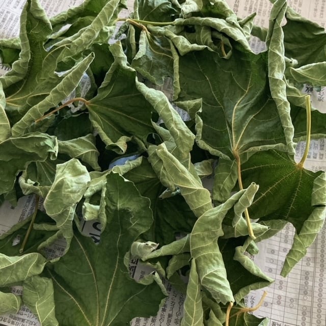 イチジクの葉】10g 有機栽培オーガニックドライハーブ | 近江おごと