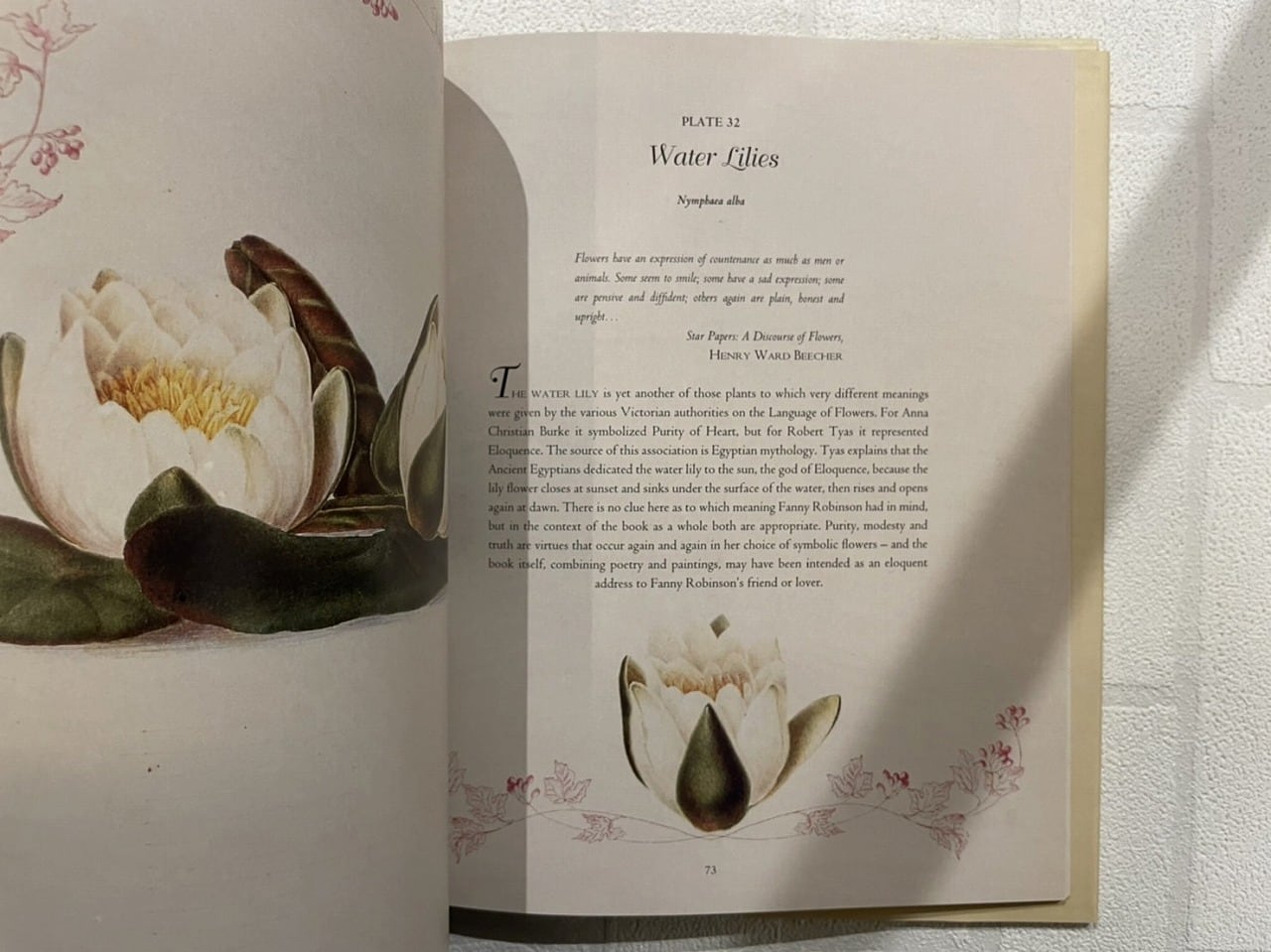 VW083】Country Flowers Of A Victorian Lady /visual book | KITAZAWA