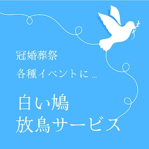 白い鳩 放鳥サービス 【結婚式・各種イベント】1セット(10羽)