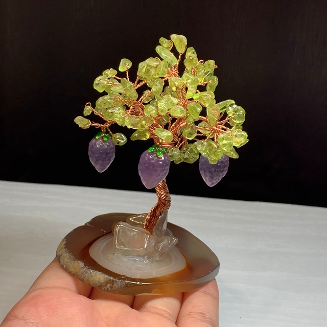 ぶどうがなる招財樹・ペリドット