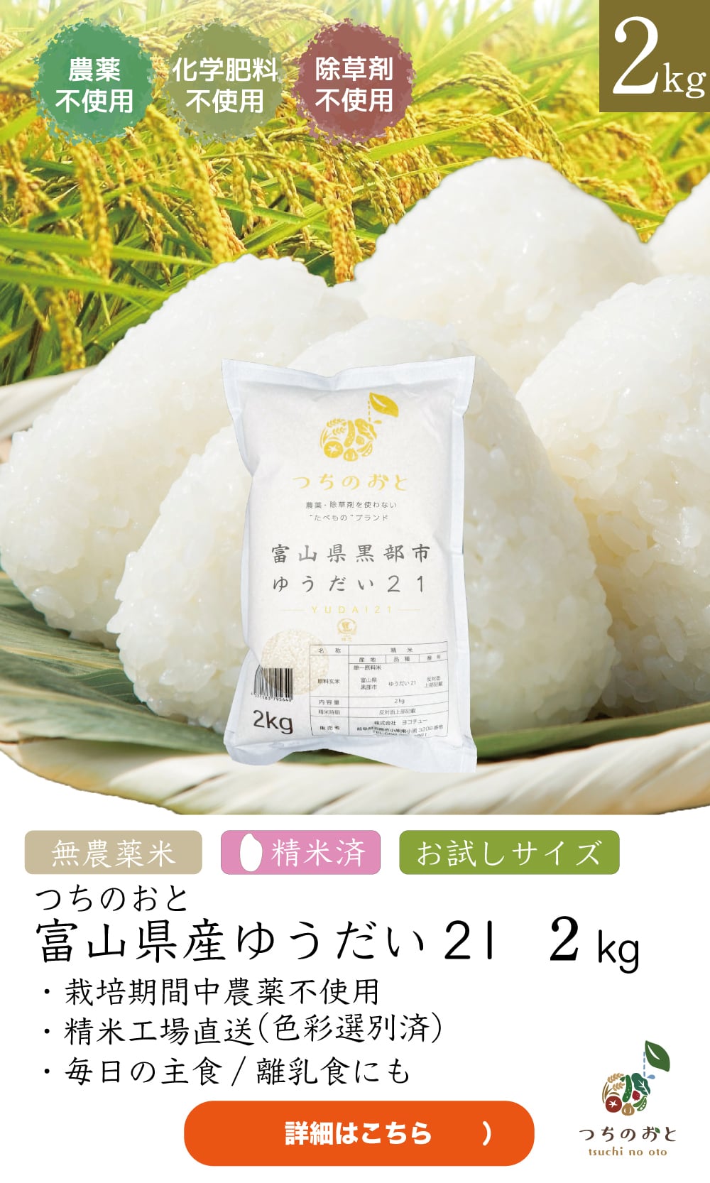 無農薬栽培米6kg（2kg×3袋）『つちのおと』ゆうだい21　おまとめパック 【精米済】（酵素ミネラル農法）愛知県産【令和7年産】