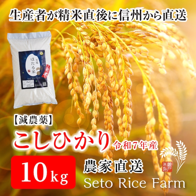 【R7年度】減農薬 こしひかり　３kg　日本を代表するブランド米　甘味と強い粘りが特徴で冷めても美味しいと人気が高い定番のお米♪