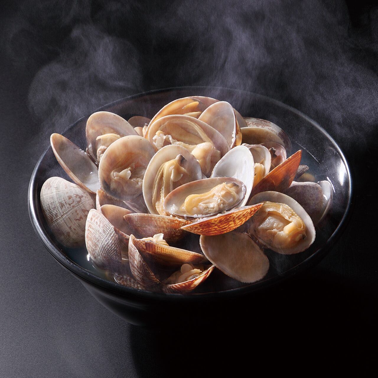 貝殻 5点セット 【公式通販】