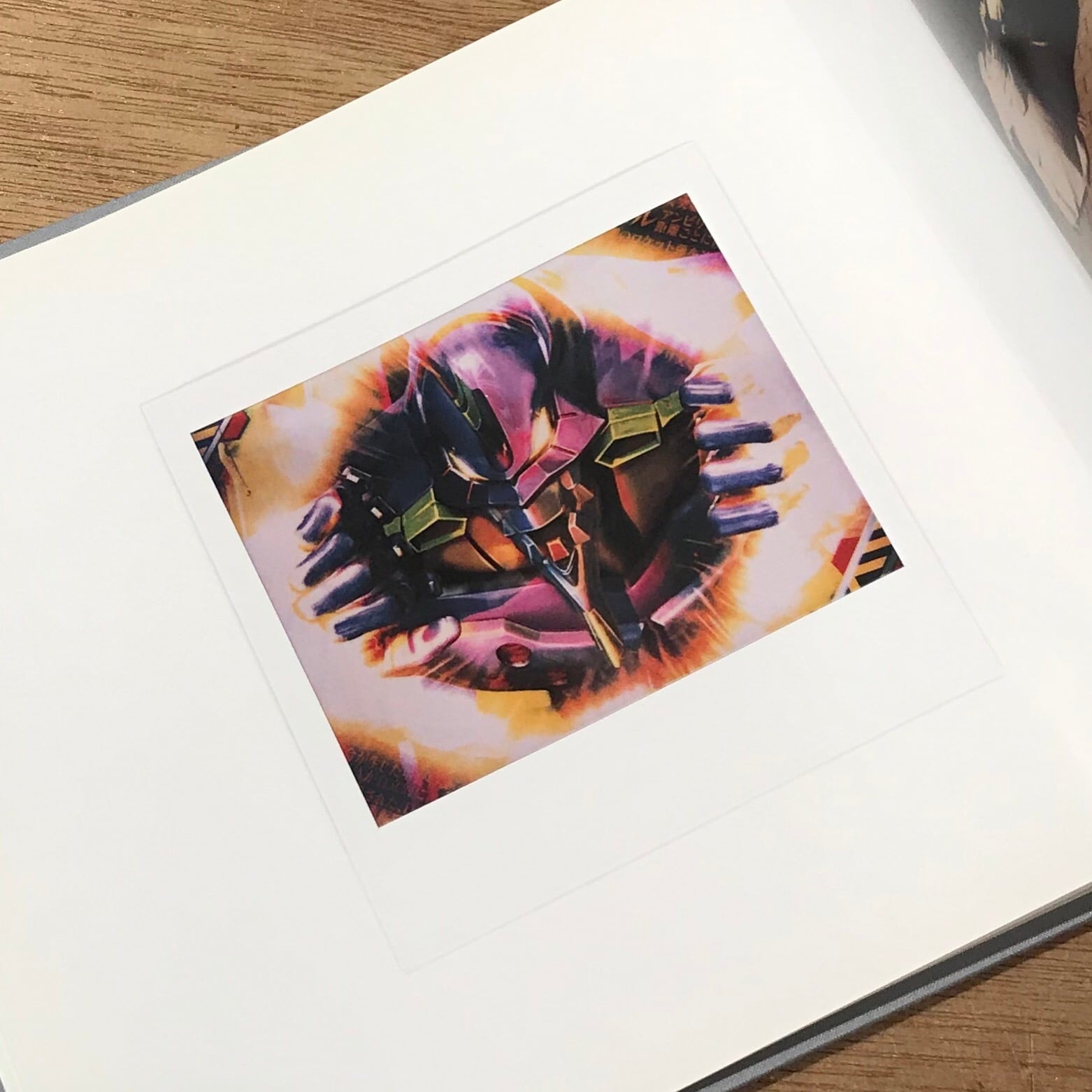 森山大道 バイバイポラロイド / Daido MORIYAMA bye-bye polaroid | Pay ID