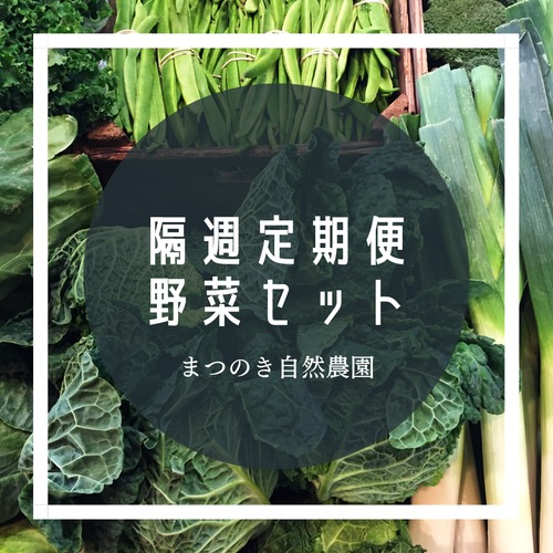 【隔週定期便】　旬の彩り新鮮野菜セット