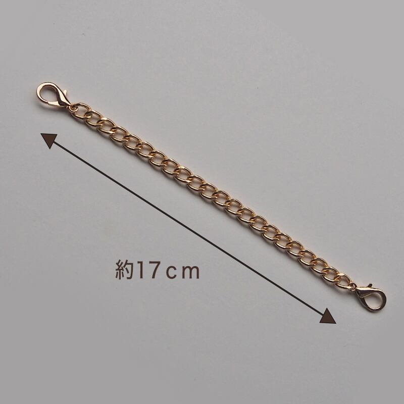 20.5cm 】 バッグチェーン シルバー ゴールド ストラップ