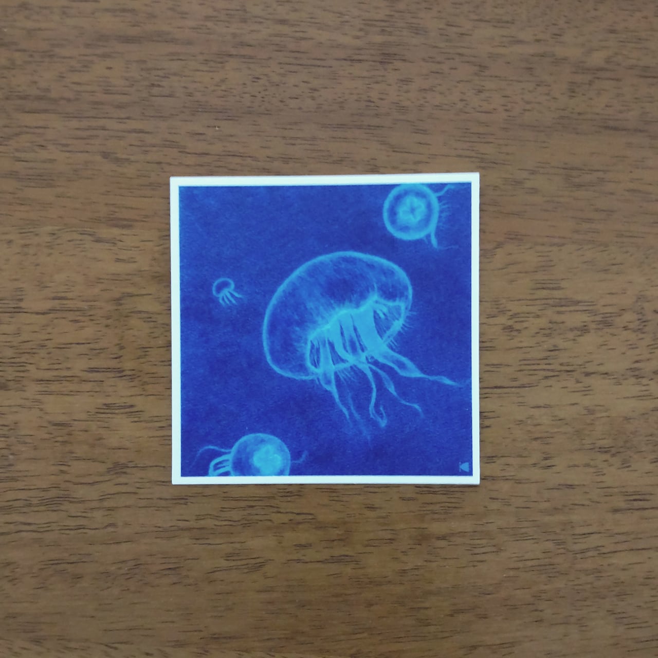 くらげページ 立体海月図鑑 – 株式会社ザ・アクセス-TheACCESS-