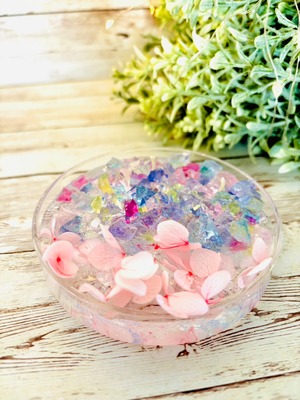 レイニーシーズン シャーレ