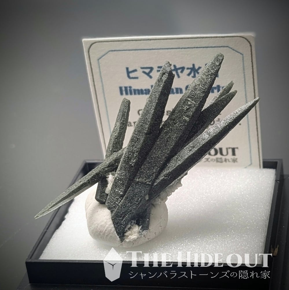 ヒマラヤ水晶オールドストック原石標本032 盆栽を愛でる趣あり、芸術的