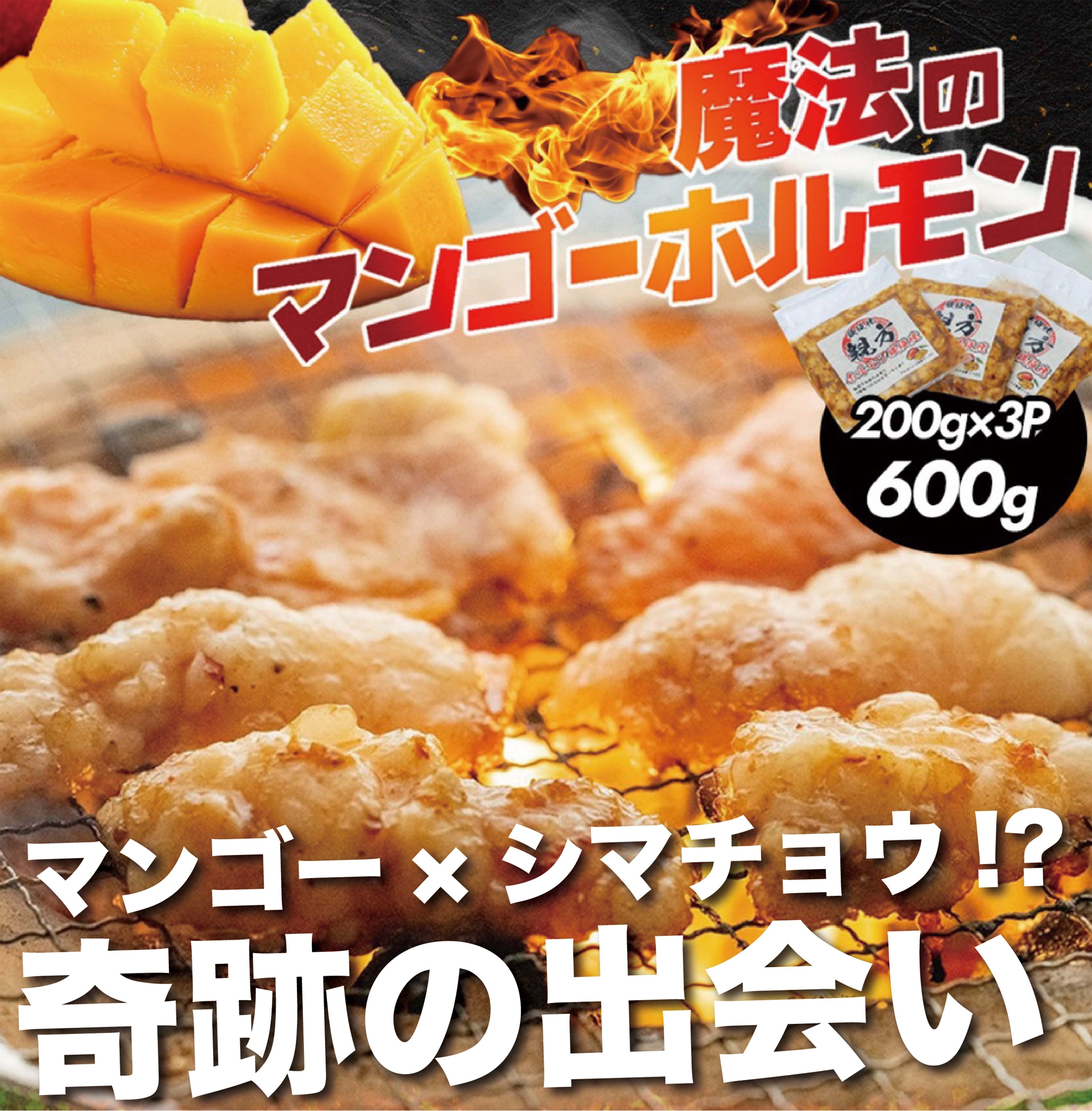 【美品】●第3・4弾拡張パック 超タイプ コモン アンコモン 7枚セット旧裏 送料無料》魔法のマンゴーホルモン3パックセット(600g) | もぐリコ