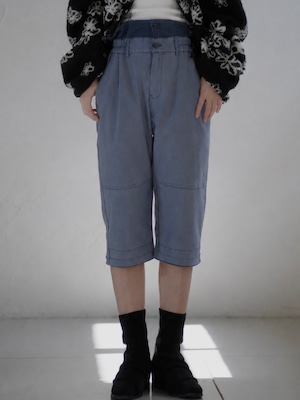 Double Waistband Panel Pants  / BLUE