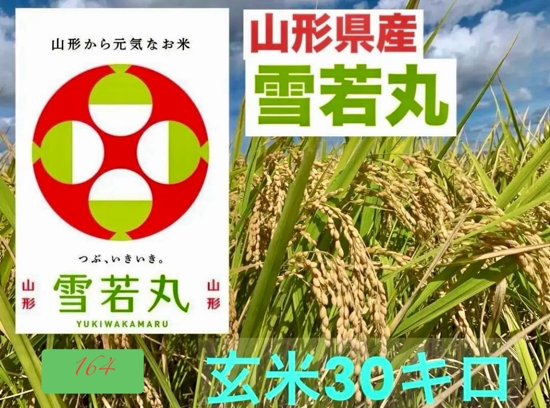 桃太郎ママさん専用】山形県産 特別栽培米 雪若丸 玄米30キロ