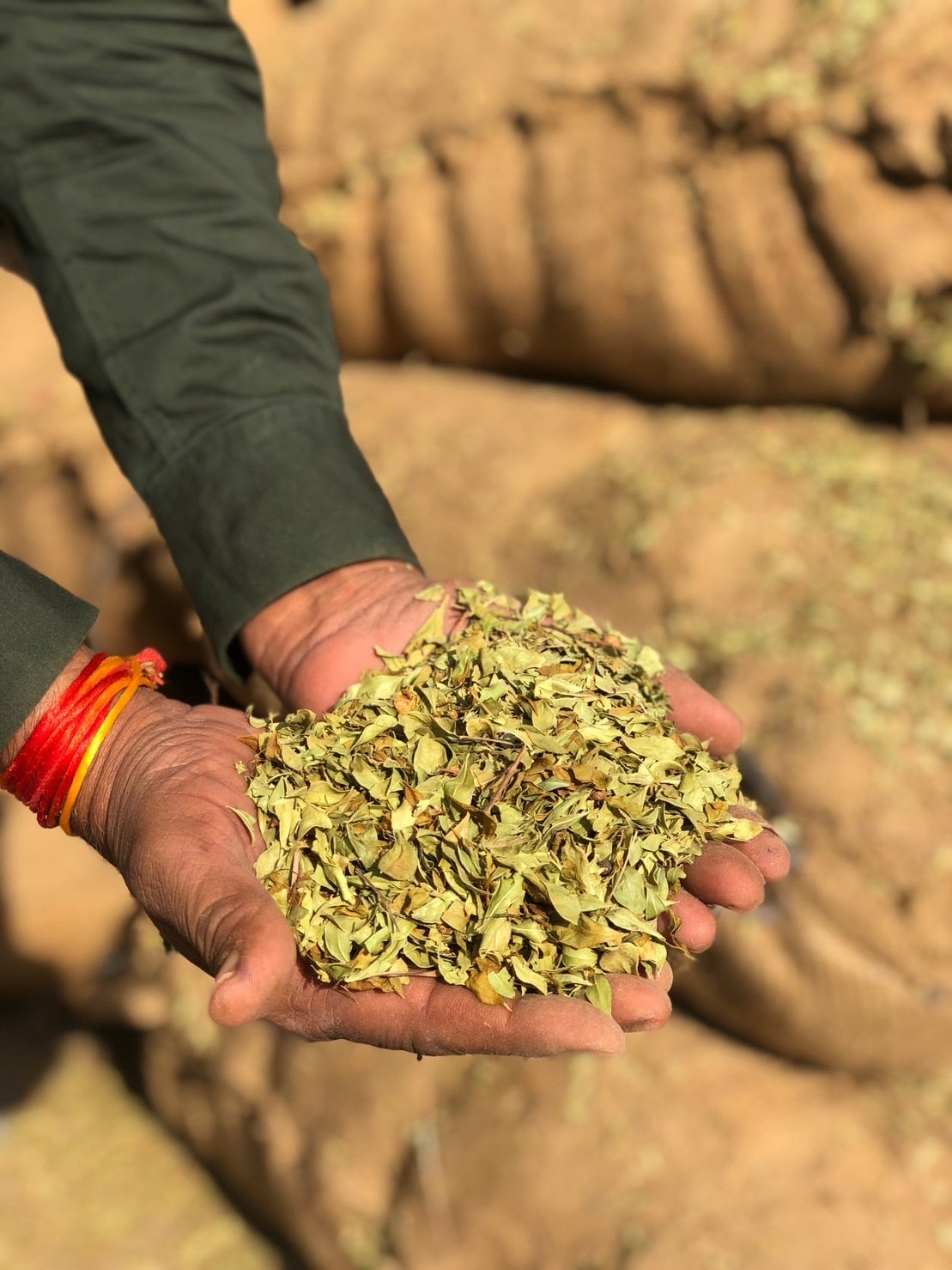 ソジャットヘナ チョコレートブラウン | Latree 葉っぱのSALON