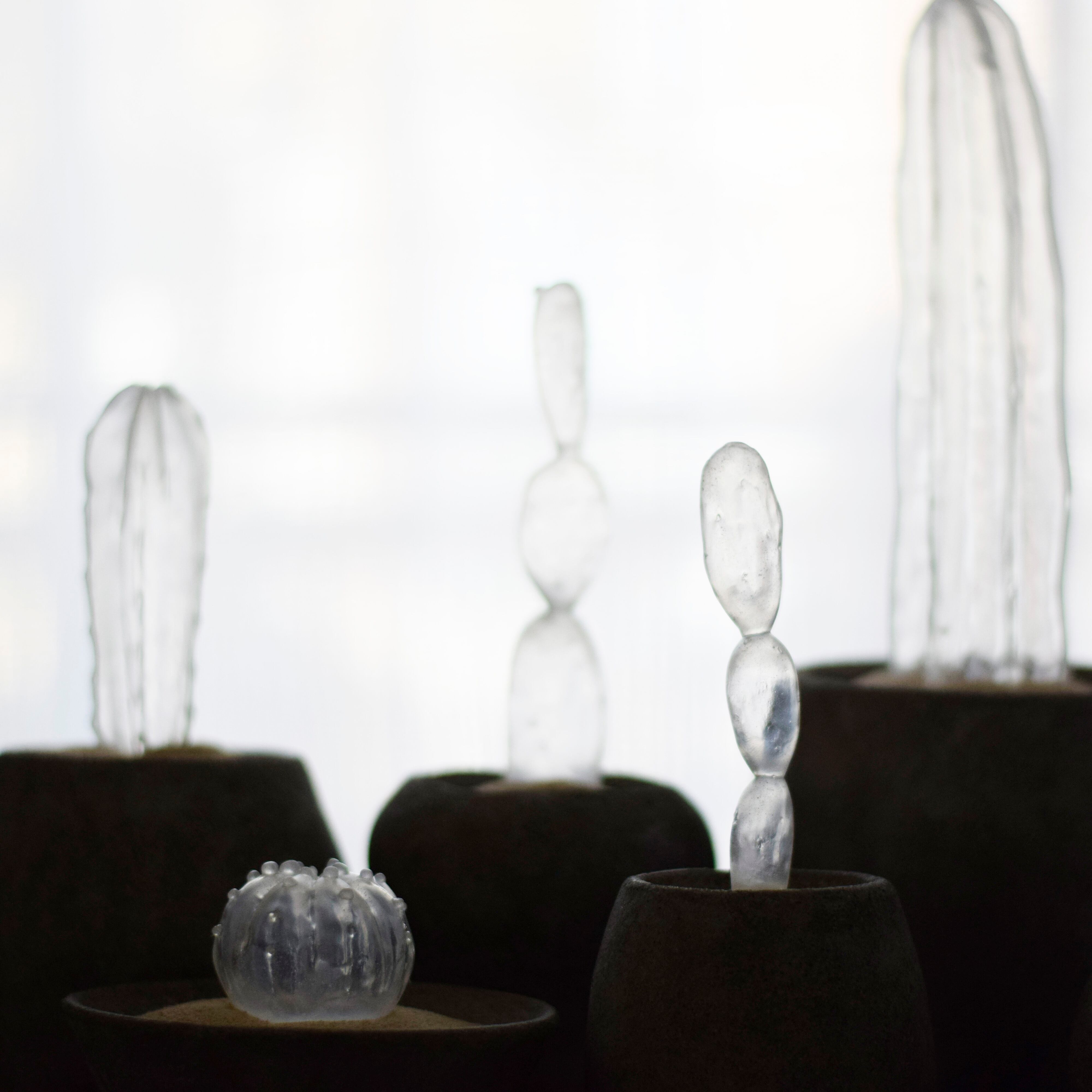 透明サボテン 003 （曇り） | Sabotensi