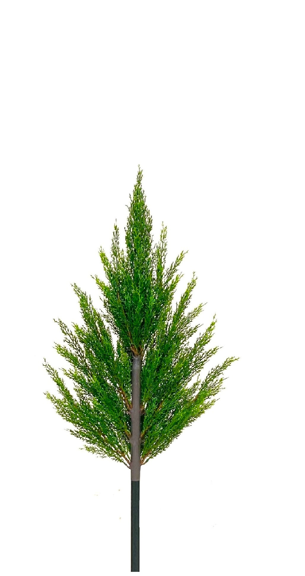 リアルいぶき 90㎝