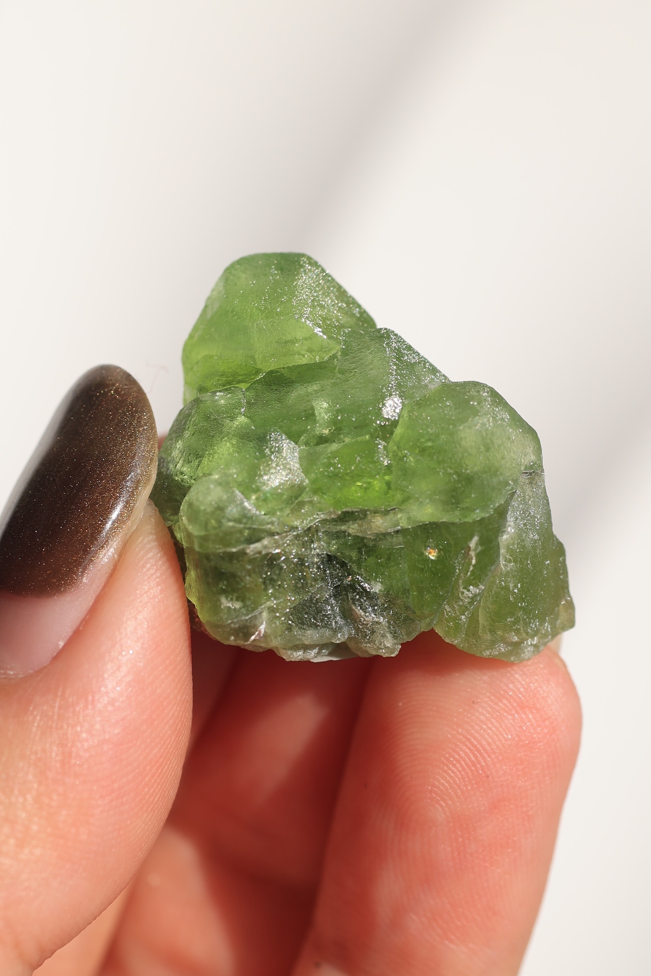 ペリドット「きらめく緑」Peridot|天然石 原石 鉱物 パワーストーン | PD-A-004