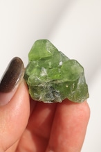 ペリドット「きらめく緑」Peridot|天然石 原石 鉱物 パワーストーン | PD-A-004