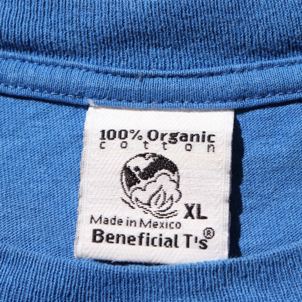 極美品 XL ロイヤルブルー オーバルロゴ Patagonia Beneficial T's ベネフィシャル Tシャツ 青 パタゴニア