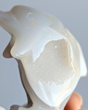 Druzy Agate ドゥルジーアゲート ⭓ イルカ ⭔ CARVING