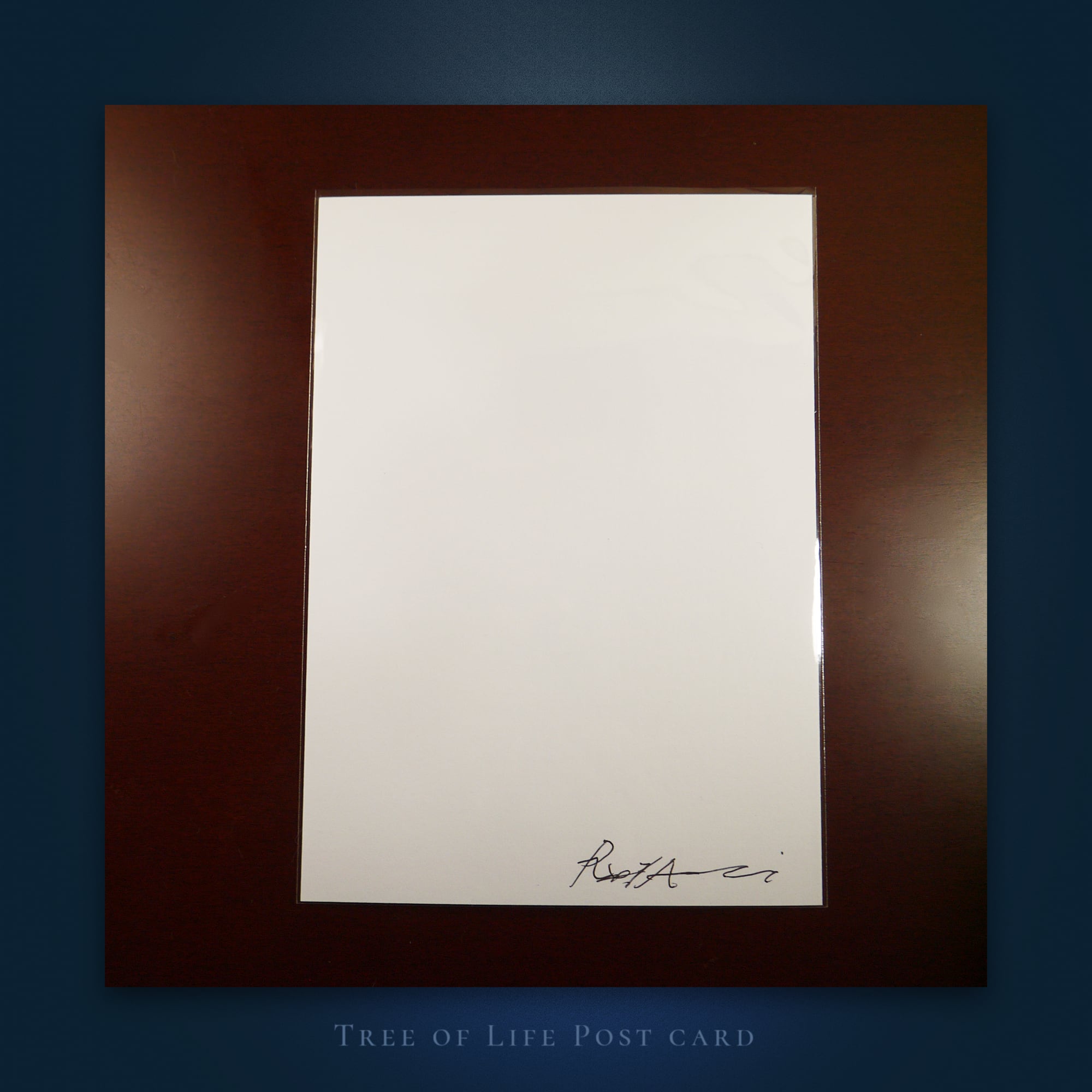 生命の樹 / ポストカード 《2L判》 | 青咲 黎 / Aozaki Ray