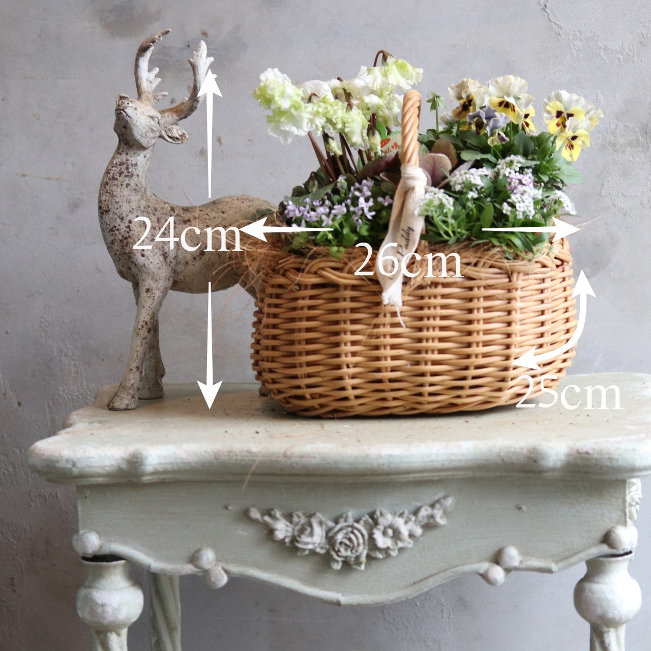 冬から春に楽しむ寄せ植え　シクラメン森の妖精とNorthIslandビオラのシックカラーのハボタンのバスケットの寄せ植え　お正月にオススメ　届いてすぐ玄関に飾れる 　プレゼントにもオススメ　